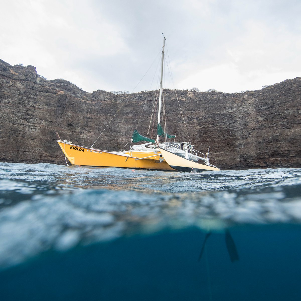 Gerber Gear tweet media