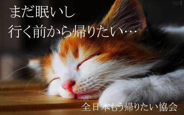 enntyou_fight's tweet photo. (o´Д`o)ﾉﾞおは幼女ォ！

警報解除された｡ﾟ(PД`q*)ﾟ｡
学校行かないと｡ﾟ(PД`q*)ﾟ｡
でも午前中で終わる( ^ω^)

てことで！今日も頑張って生きましょ♪ https://t.co/YV4UAfT59w