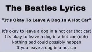 shittyanimedets's tweet photo. During the JoJo's Bizarre Adventure series, Hirohiko Araki referenced several Beatles songs implying he is a big fan of the band. This may also be the reason why so many dogs are killed over the course of the series. https://t.co/YObEIV3Ab3