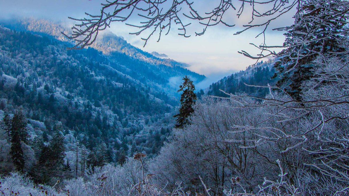 CharliesFarmTN's tweet photo. No words, just a pic of the Great Smokies. https://t.co/tcLiM6fY0O