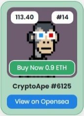 SterlicchiMarco's tweet photo. Such a good luck to have this rare one @_cryptoapes #cryptoapes #OpenSeaNFT #forsalenft #3d #cyborg https://t.co/KAMIkmN9bQ