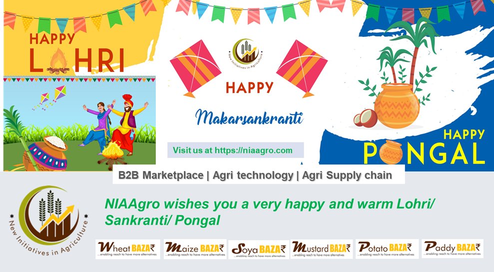 Nia_Agro's tweet photo. NIAAgro wishes all a very happy Lohri, Makar Sankranti, Pongal. https://t.co/XRFZVZIyul