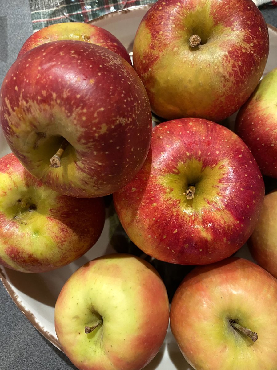 annaesch1's tweet photo. #Wellant 🍎💚
Leicht süß-würziger & fein-säuerlicher Geschmack mit festem Fruchtfleisch https://t.co/JkItnORwAc