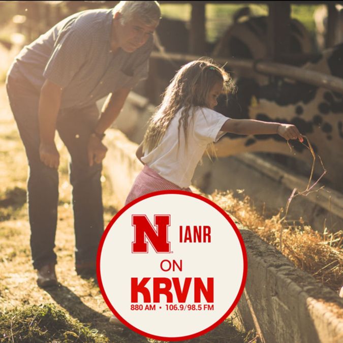 Institute of Agriculture and Natural Resources (@unl_ianr) on Twitter photo Time to retire from the farm or ranch and need to transition your operation to the next generation? 👨👩👧👦Are you a new farmer or rancher looking for land? #IANR's @TheMikeBoehm shares about <a href="/UNLExtension/">Nebraska Extension</a> programs for that on <a href="/krvn/">KRVN Radio</a> ›› ow.ly/2Az250HsY7U #UNL #IANR Time to retire from the farm or ranch and need to transition your operation to the next generation? 👨👩👧👦Are you a new farmer or rancher looking for land? #IANR's @TheMikeBoehm shares about <a href="/UNLExtension/">Nebraska Extension</a> programs for that on <a href="/krvn/">KRVN Radio</a> ›› ow.ly/2Az250HsY7U #UNL #IANR