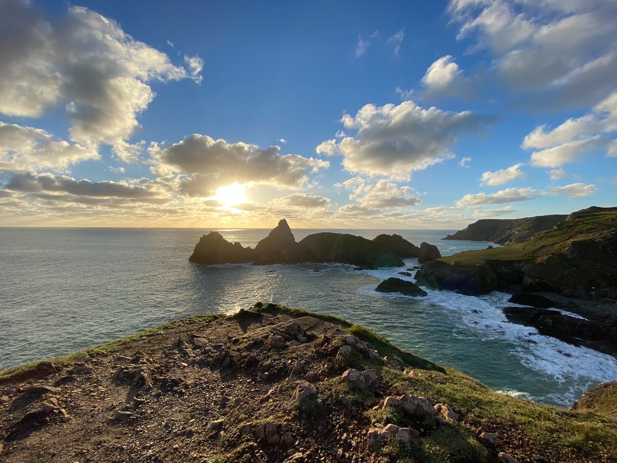 Lizard Hol Cottages tweet media