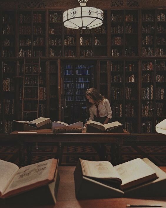 IRIS_knowledge's tweet photo. @TellYourSonThis She's browsing books in your castle,

How do you open?

(Hard Mode: you are Beast &amp; she knows you kidnapped her) https://t.co/tzl7hi3uOn