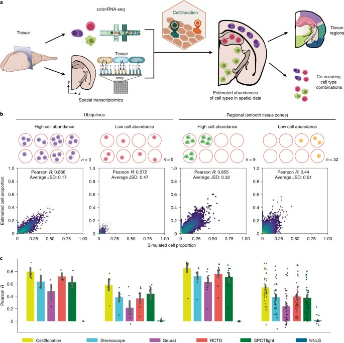 Cell2location maps fine-grained cell types in spatial transcriptomics go.nature.com/3394kI5