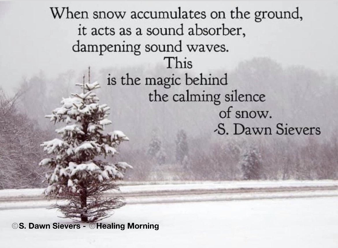 sds2965's tweet photo. Healing Morning Extra™️. Snow thoughts. ❄️
#HealingMorningExtra™️ #MorningMeditationArchives™️ #SnowThoughts #Peace #Beauty https://t.co/YtBGsjGXCC