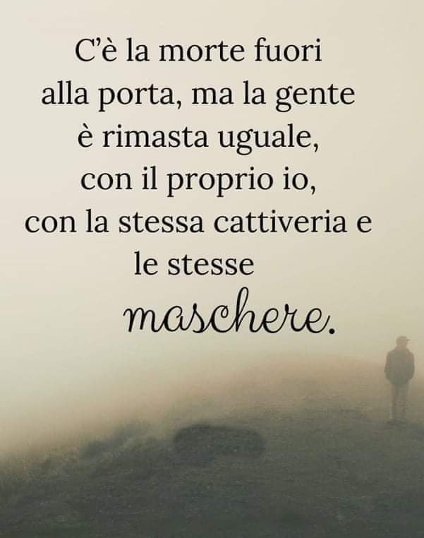 🌼༄ℳℯℊℊ𝒽𝒾༄🌼 (@megghi45) on Twitter photo 