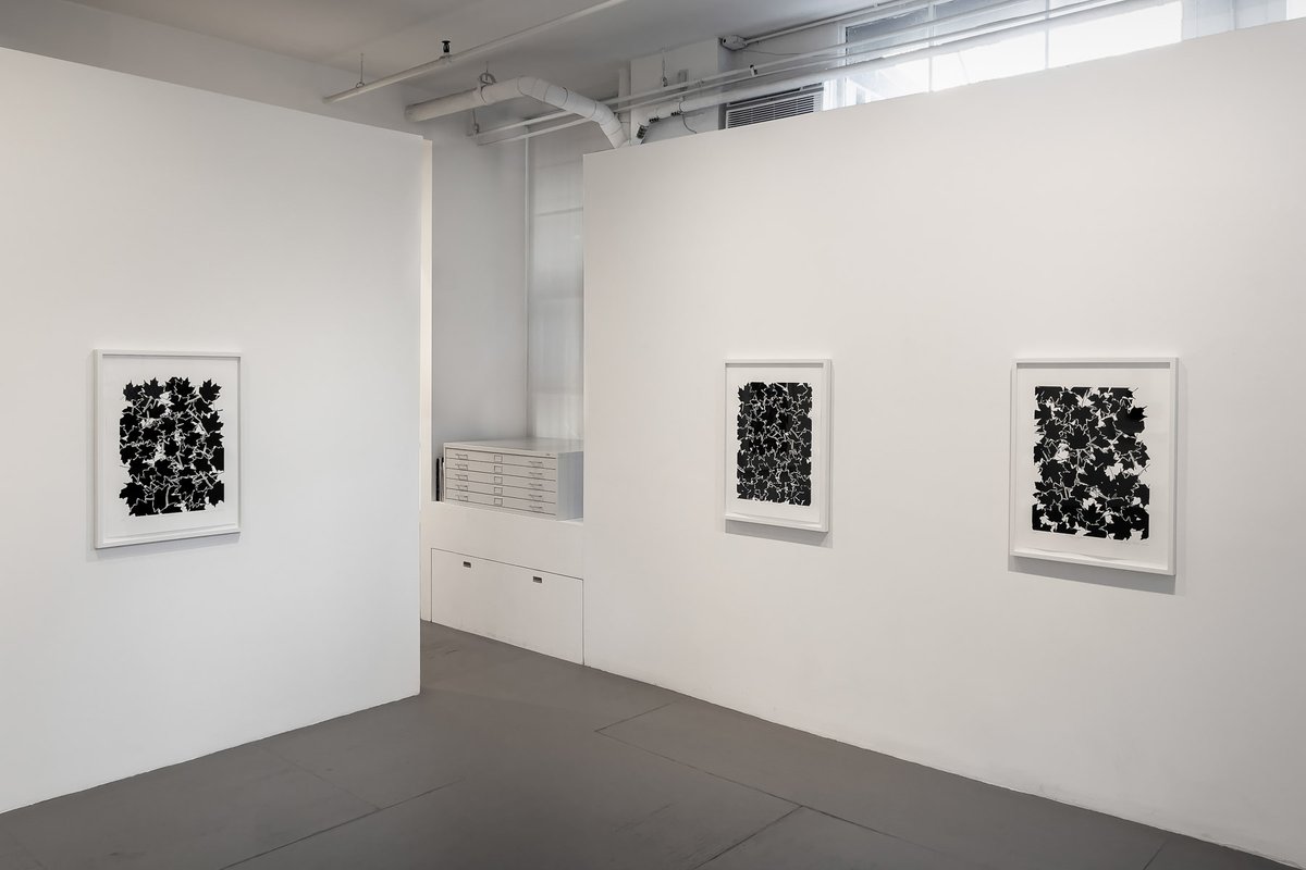 Art Projects International (@artprojects) on Twitter photo "RICHARD TSAO: Fallen Leaves" Part III of #paperandprocess3 currently on view <a href="/artprojects/">Art Projects International</a>
#richardtsao #artprojectsny #tribecagalleries "RICHARD TSAO: Fallen Leaves" Part III of #paperandprocess3 currently on view <a href="/artprojects/">Art Projects International</a>
#richardtsao #artprojectsny #tribecagalleries