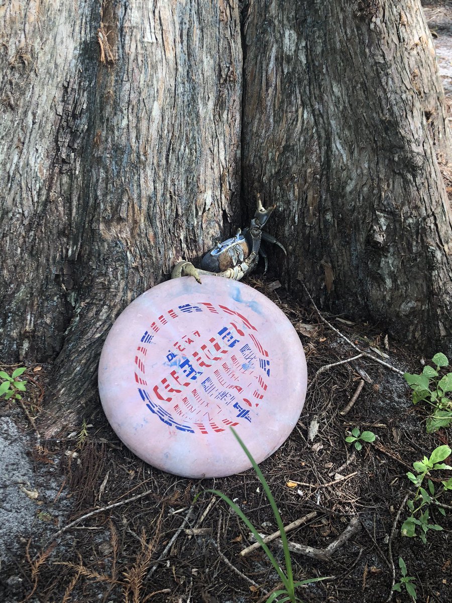 FredM86728261's tweet photo. Disc golf is such a pure sport, you can be your best self or in the world if you want. You can be recognized as top tier by having the skill and desire to be great! Doesn’t matter how young or old you are. Something very special about this sport we play @PaulUlibarri https://t.co/cKJqgIyJUM