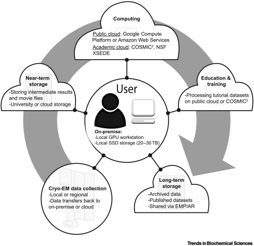 Trends in Biochemical Sciences (@trendsbiochem) on Twitter photo Increasing accessibility of #cryoEM is one boundary explored in an Opinion from <a href="/bcarra2/">Bridget Carragher</a> <a href="/edward_eng/">Edward T Eng</a> et al: "Broadening access to cryoEM through centralized facilities" and a Forum from <a href="/mcianfro/">Michael Cianfrocco</a>: "Cloud computing platforms to support cryo-EM structure determination." Increasing accessibility of #cryoEM is one boundary explored in an Opinion from <a href="/bcarra2/">Bridget Carragher</a> <a href="/edward_eng/">Edward T Eng</a> et al: "Broadening access to cryoEM through centralized facilities" and a Forum from <a href="/mcianfro/">Michael Cianfrocco</a>: "Cloud computing platforms to support cryo-EM structure determination."