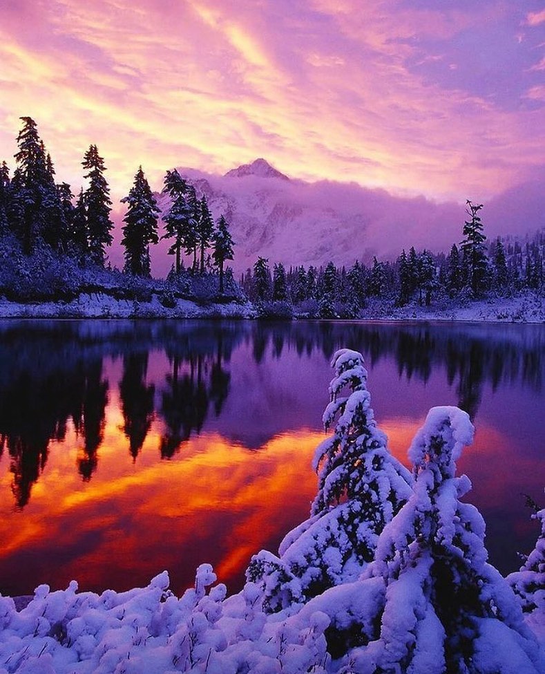 LifesEarth's tweet photo. Winter Wonderland #nature #travel https://t.co/L10qc52XbC