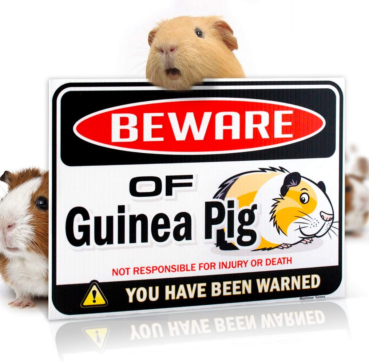 PawsomeSCR's tweet photo. 🐹All in good fun. https://t.co/ZVFDORWbKu