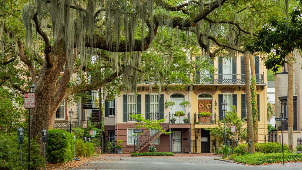 AlexisNassif's tweet photo. Downtown Savannah, #Georgia, is a great #vacation spot.  https://t.co/rzoiqAqD3Q https://t.co/n4Rgyu7c7r