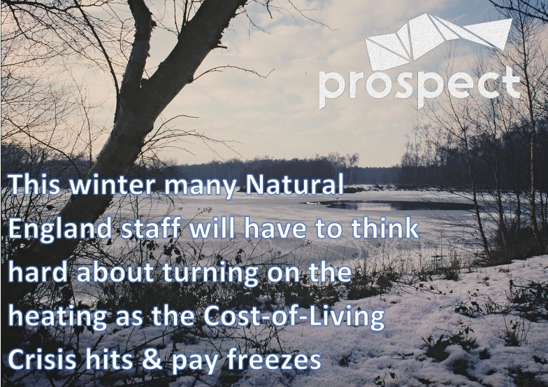 Prospect_NE tweet media