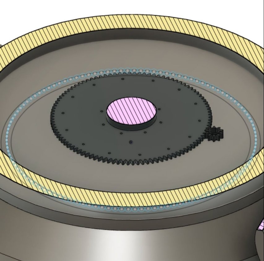 Liz Wolfe tweet media