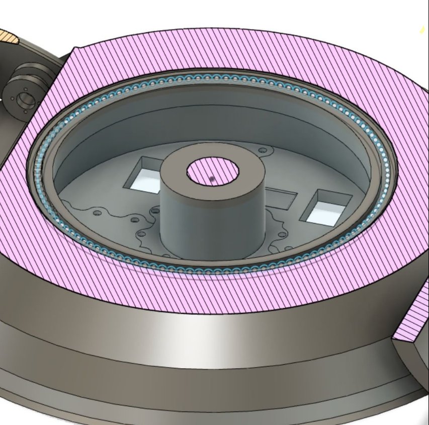 Liz Wolfe tweet media