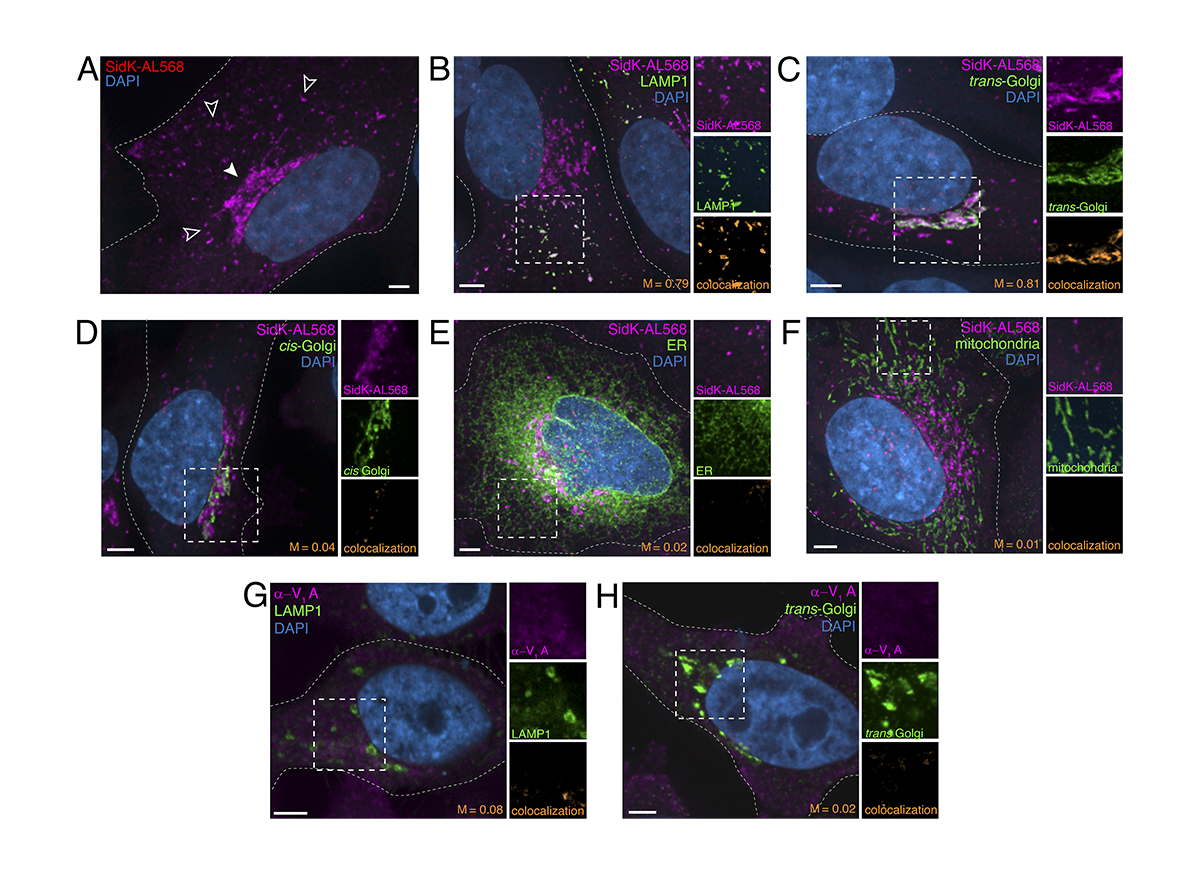 Journal of Cell Biology tweet media