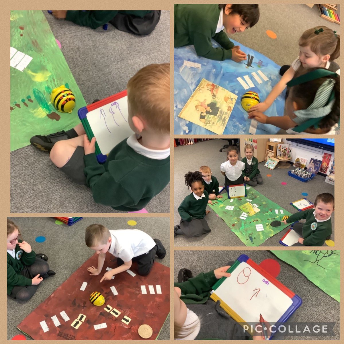 Today, we directed Beebots around our 'Bear Hunt' scenes. We used the positional language, 'forwards', 'backwards', 'turn', 'left' and 'right'. If the Beebot went off course, we worked together to solve the problem! #SJSBEYFS #SJSBmaths #SJSBcomputing