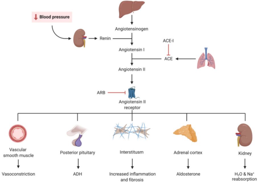 CleClinicKidney's tweet photo. Therapeutic Advances in Diabetic Nephropathy https://t.co/q2Q9S5GzQo #mdpijcm via @JCM_MDPI
@CleClinicKidney team | @HannySawaf @JonTaliercio_DO @AliMehdiMD @NakhoulGN @tvachh https://t.co/dpH6zHc5Gw