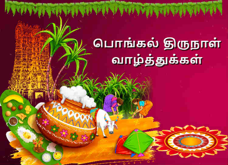 FausthinaA's tweet photo. அனைவருக்கும் இனிய தமிழர் திருநாள் நல்வாழ்த்துக்கள். மிக முக்கியமாக உழவர்களுக்கு எனது அன்பு வாழ்த்துக்கள். https://t.co/Z9oTStgyZz