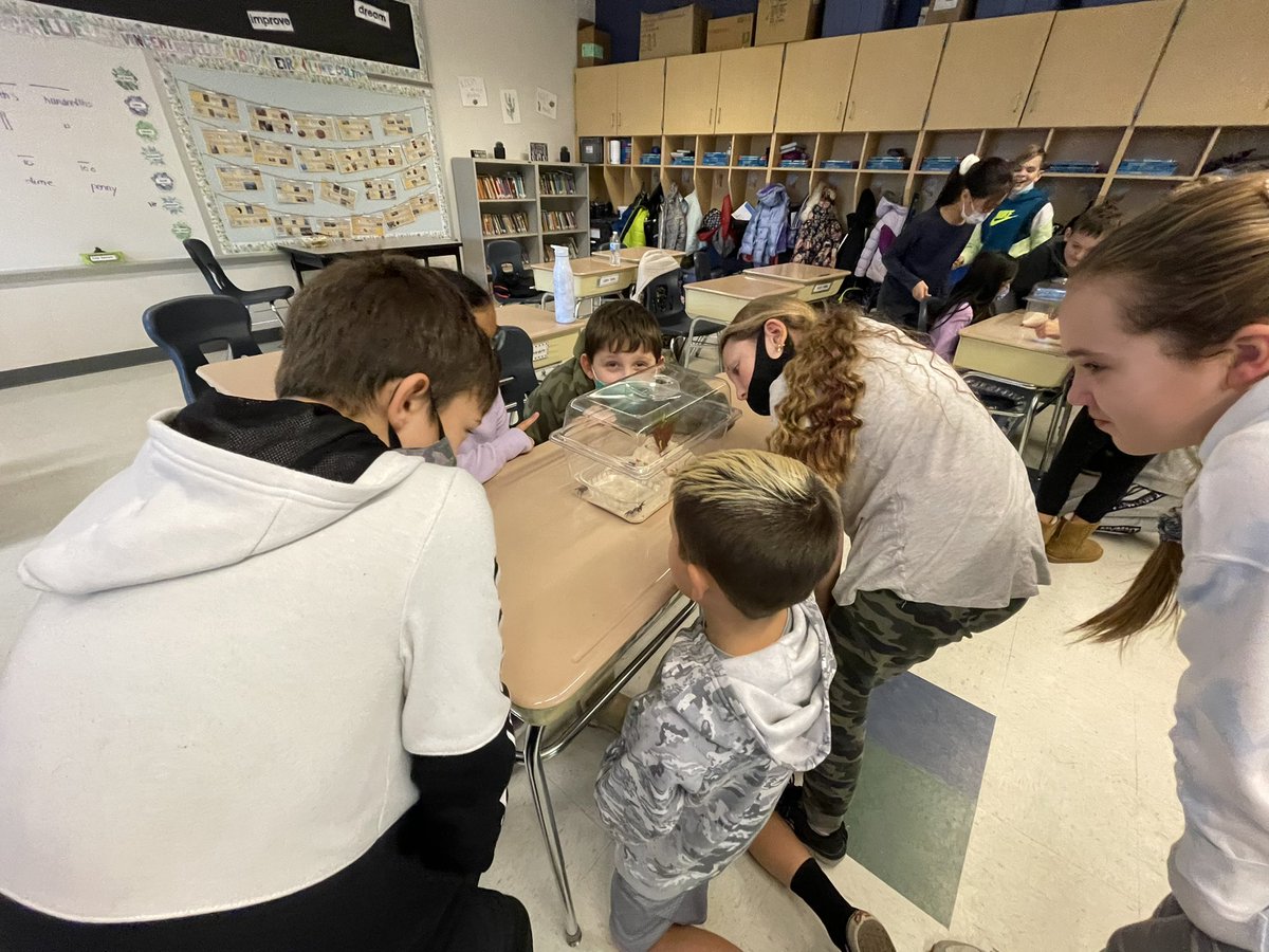 Crabs are here! 🦀