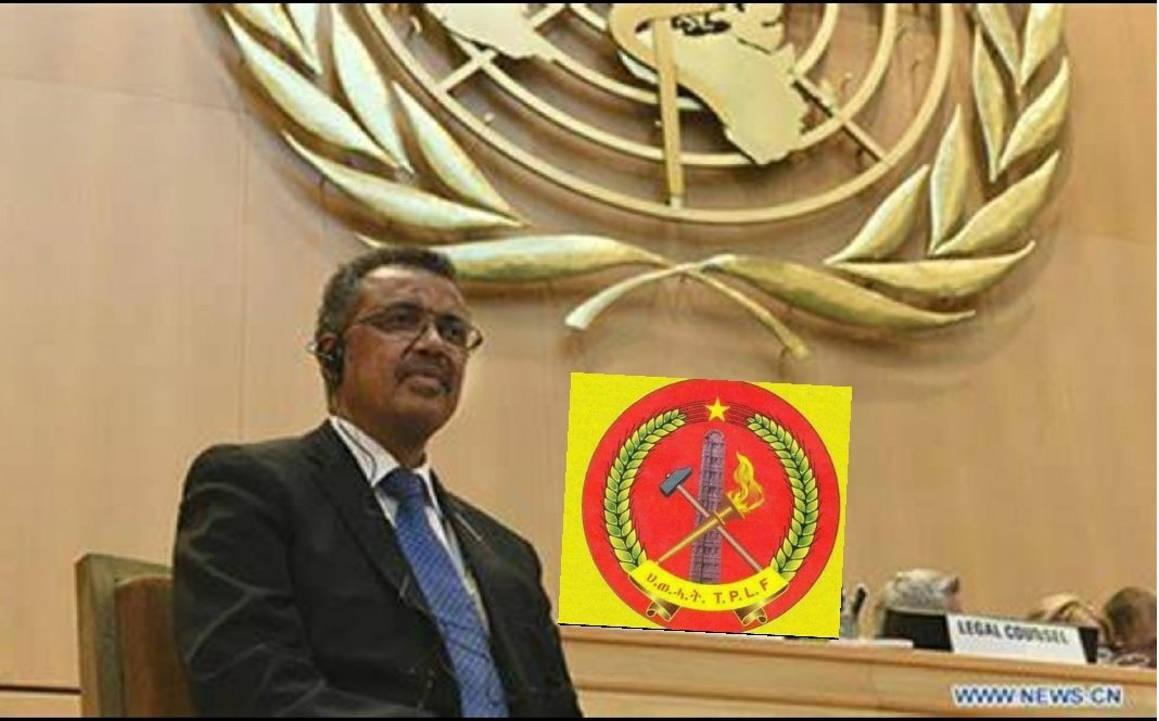 Dere_R_Tesfa's tweet photo. The UN should launch an investigation into @DrTedros , who attempted to deceive the organization by deliberately inflating the level of emergency in Tigray. #NoMore #RemoveDrTedros #CancelHR6600 @EU_Commission @HouseForeign @StateDept  @SecBlinken @POTUS  https://t.co/xAN14fqMFX