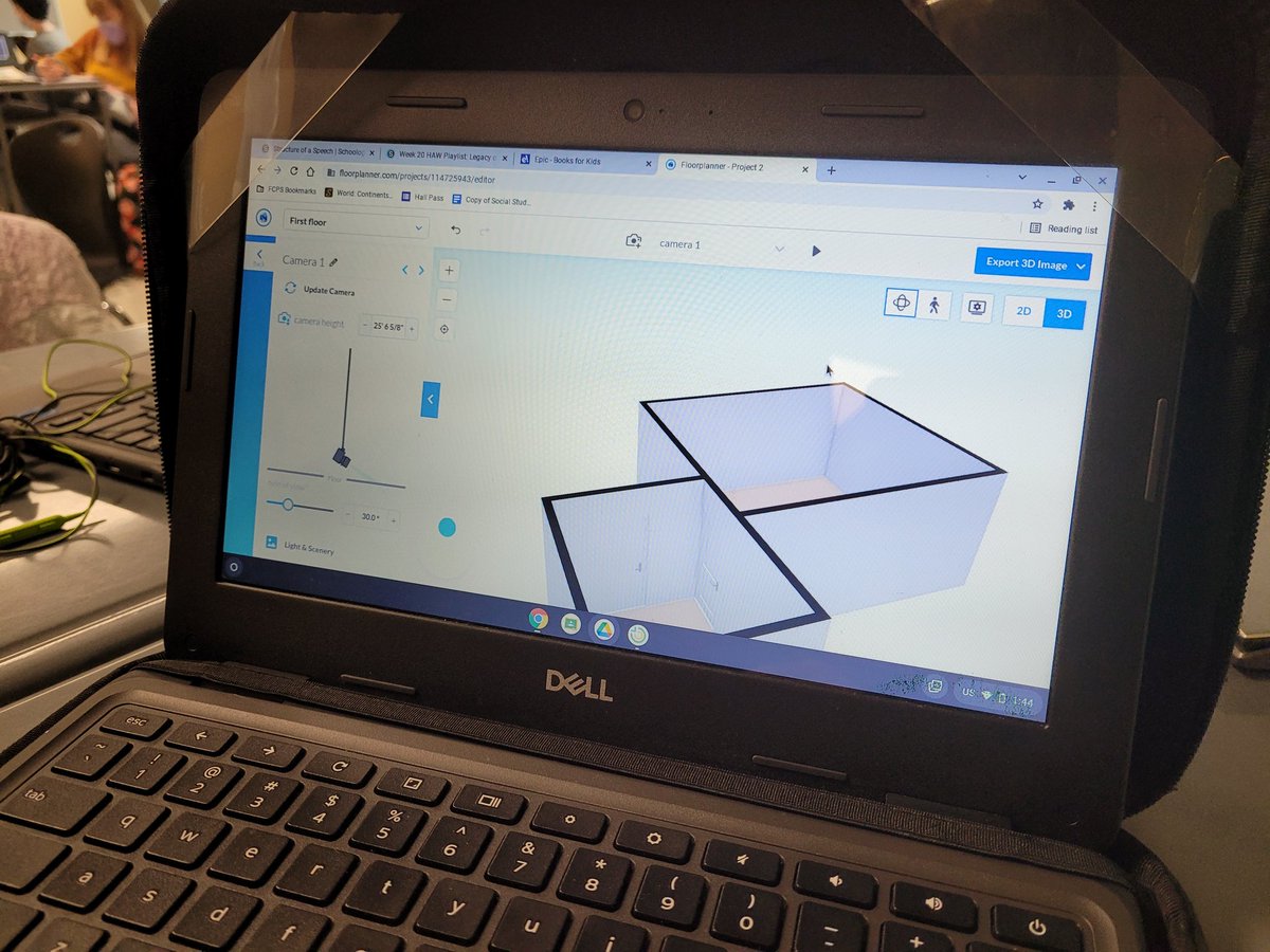 Kelly Denti tweet media