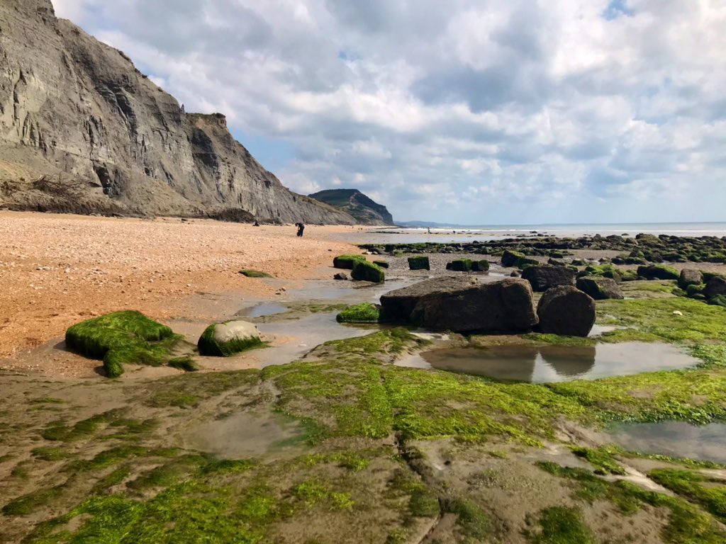 jurassicguides's tweet photo. I’m really pleased to announce that I’ve made it through as a ‘FINALIST’ in the @DorsetTourAwds for the fourth year running! I’m in the ‘Experience of the Year’ (Active or Learning) category. A big thank you to everyone who continues to support me! #Dorsetta #theboyfromthecoast https://t.co/Ntjq2HA2a8