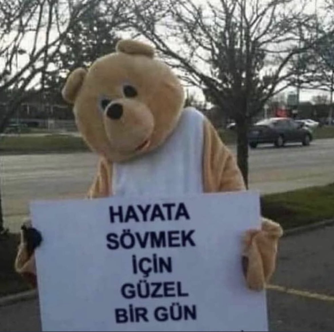 4geik memes (@cokiyikufur) on Twitter photo 