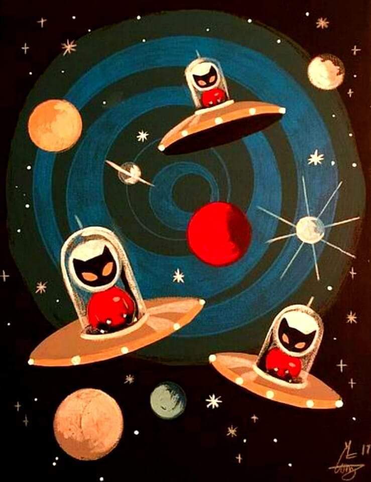 Buttcrack Nelson (@floamymagee) on Twitter photo 