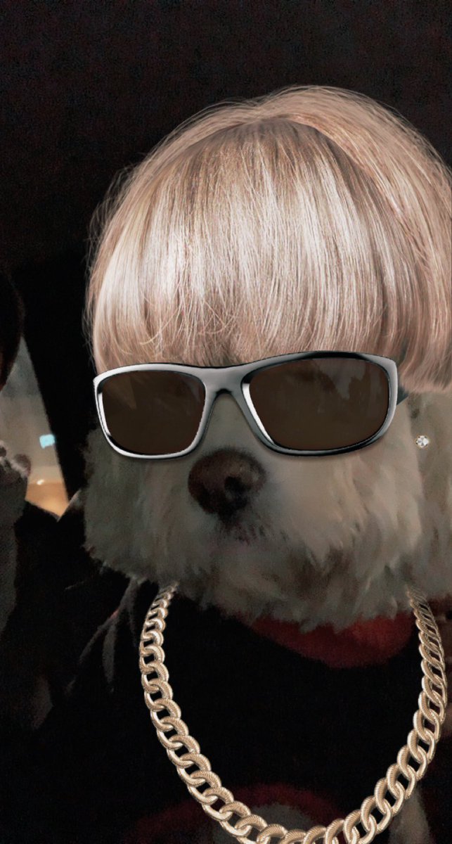 EMTfilmspro's tweet photo. EMT.FILMS ORIGINAL: WILLY BUYS DOGECOIN https://t.co/tNOlAxphLc via @YouTube
#dogecoin #doggyfilm #Filmmaking https://t.co/n2fcnYKBqK