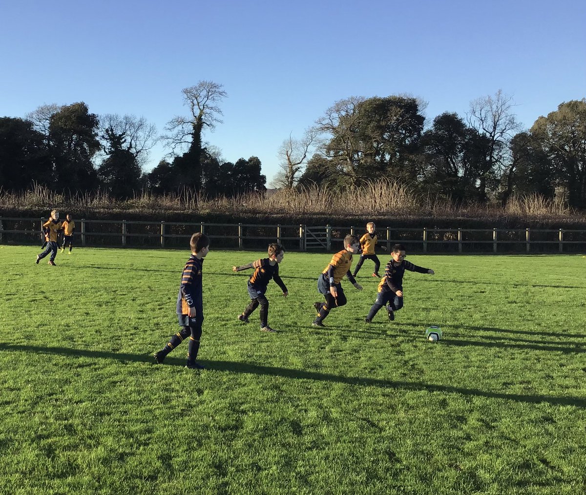 qehjuniors's tweet photo. Year 3 and 4 made the most of some glorious Failand sunshine this afternoon. #qehcare #qehschool #qehcommunity #qehcharacter @QEHSchool https://t.co/2PkhQm5YOw