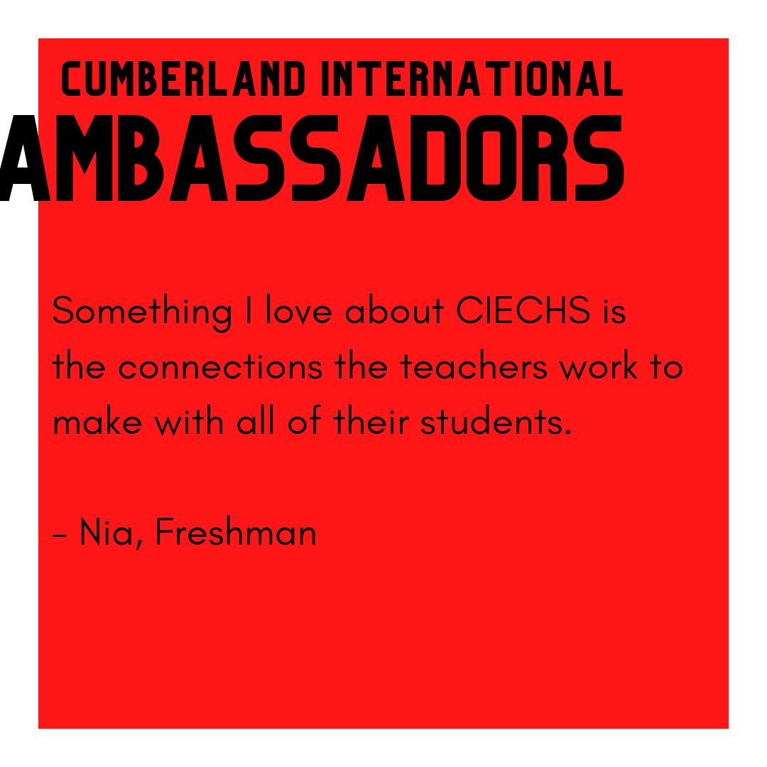 CumberlandIntl's tweet photo. Hear what our students are saying about Cumberland International! https://t.co/e7kwPXDWGr