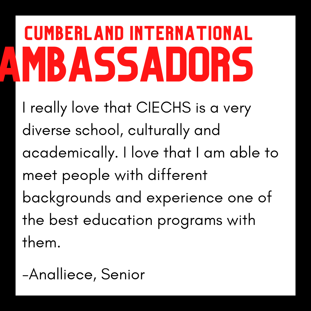 CumberlandIntl's tweet photo. Hear what our students are saying about Cumberland International! https://t.co/e7kwPXDWGr