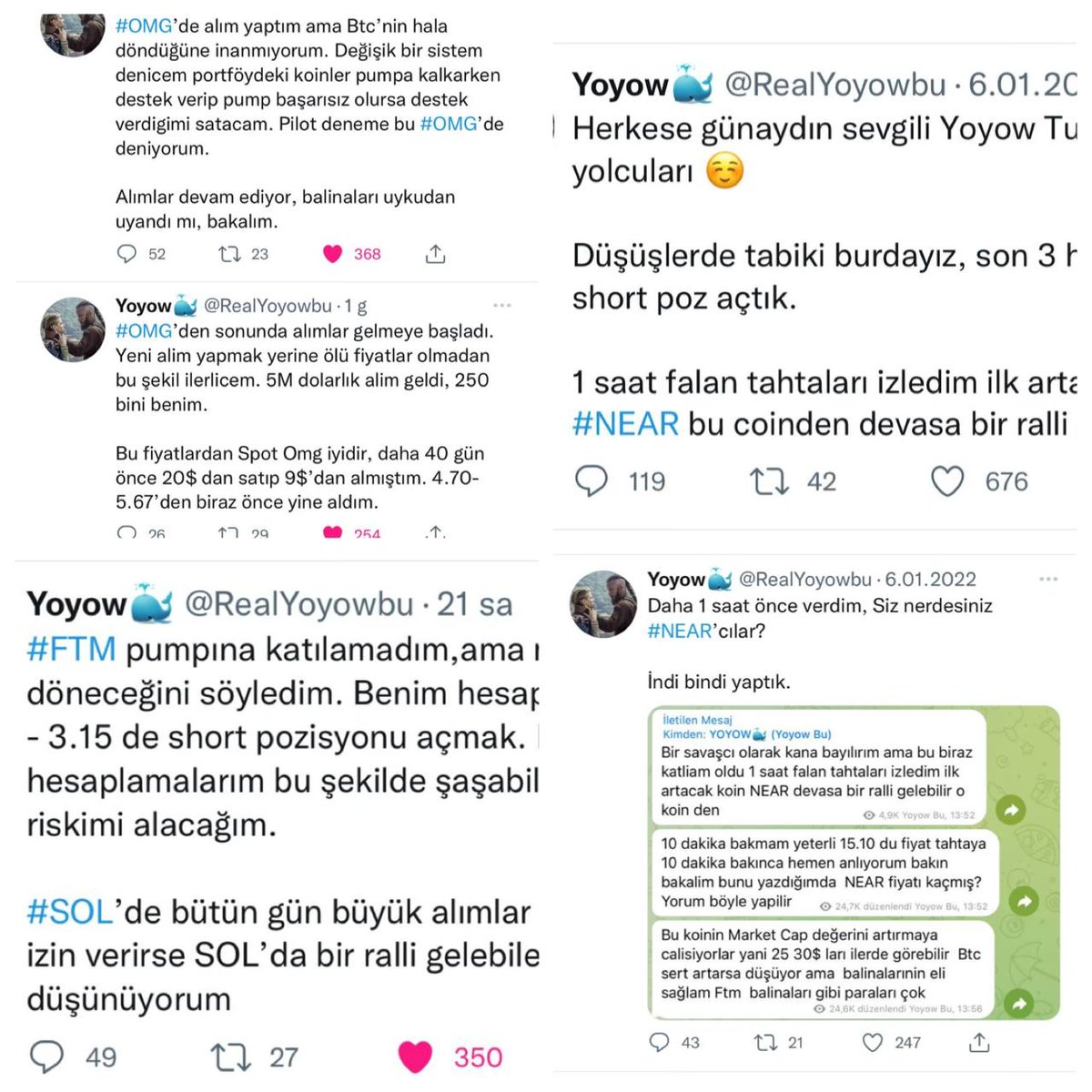 Yoyow🐳 tweet media