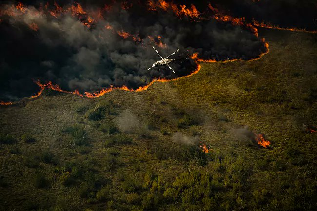 FireAviationNPS's tweet photo. Two helicopters make lighter work and yield big savings for @EvergladesNPS and @BigCypressNPS.
#NPSAviation #NPSFire #WildfireResources #FireYear2021
FY 2021 program at a glance: https://t.co/mSSwbsuNDq
๐ธAerial ignitions in Florida. NPS/M. Gue https://t.co/62CFuK4HqO