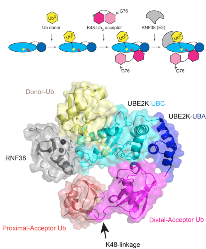 Mark A. Nakasone tweet media