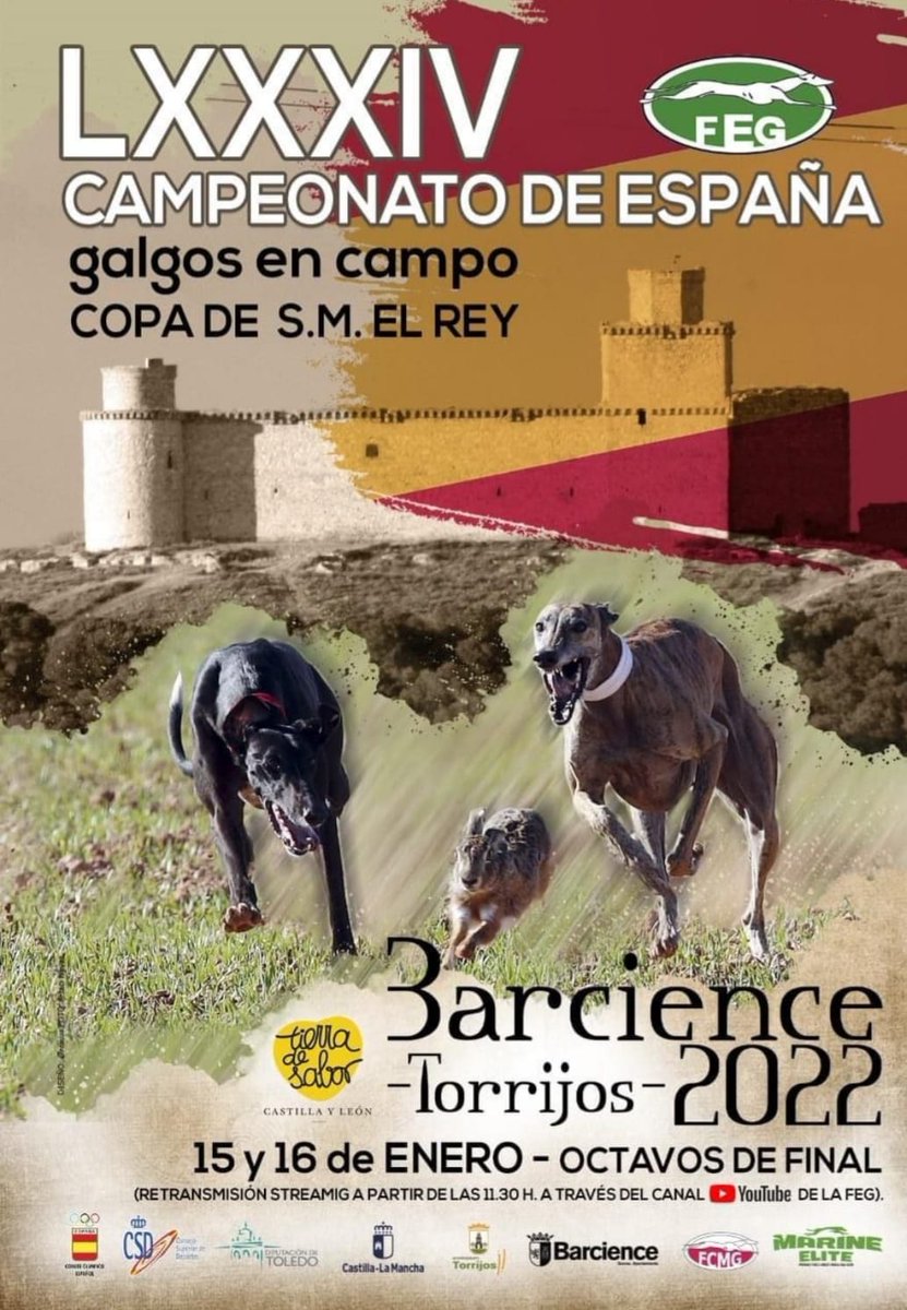 NastaTorrijos's tweet photo. Presentando en el Palacio de Pedro I #Torrijos el LXXXIV CAMPEONATO DE ESPAÑA DE GALGOS DE CAMPO ▪︎ COPA DE S.M. EL REY que se celebra este fin de semana en #Barcience
Eventos deportivos que llenan la oferta hotelera y hostelera de la #ComarcaDeTorrijos https://t.co/glUmBzoMjc