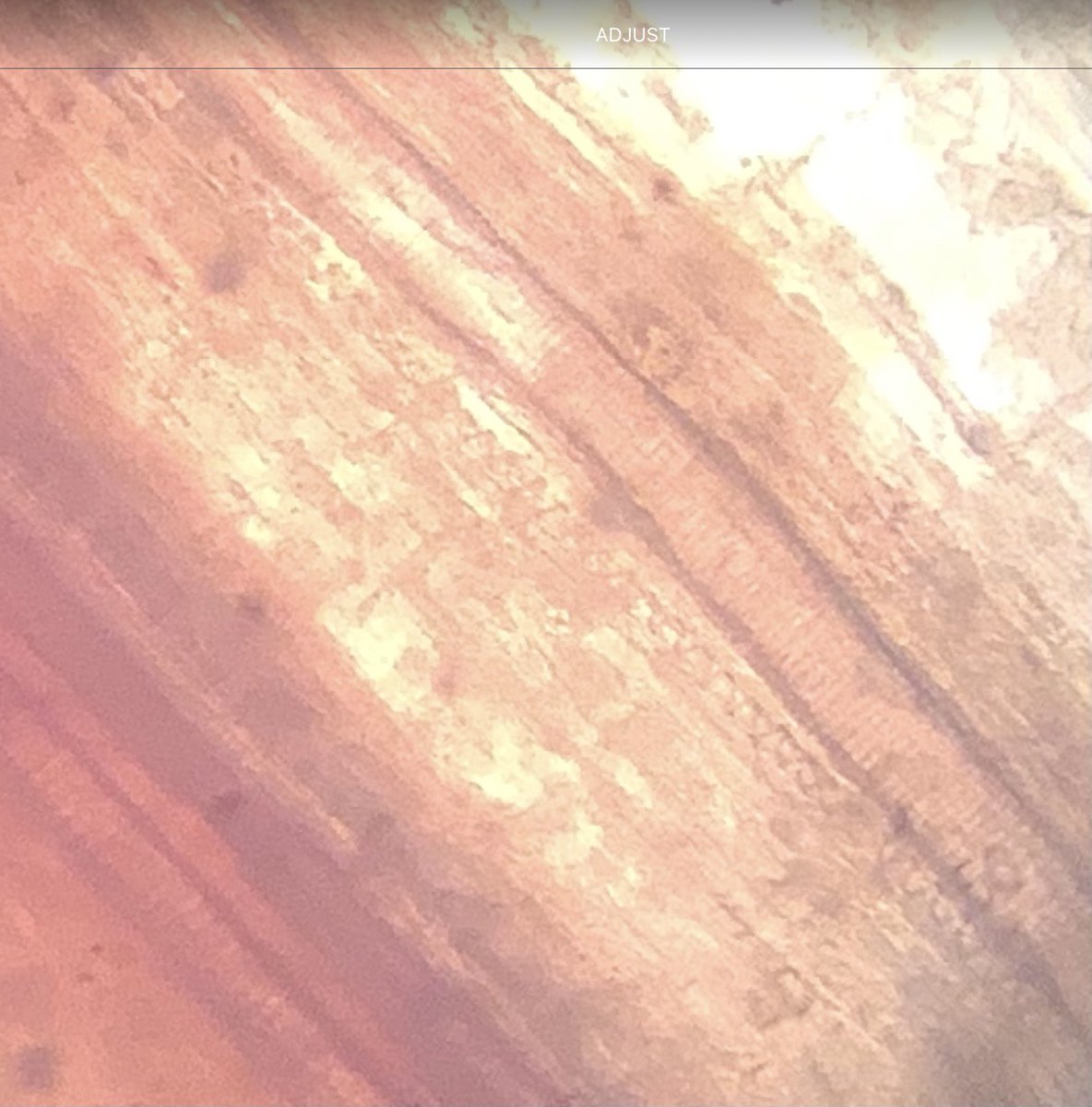 Dunottar Science tweet media