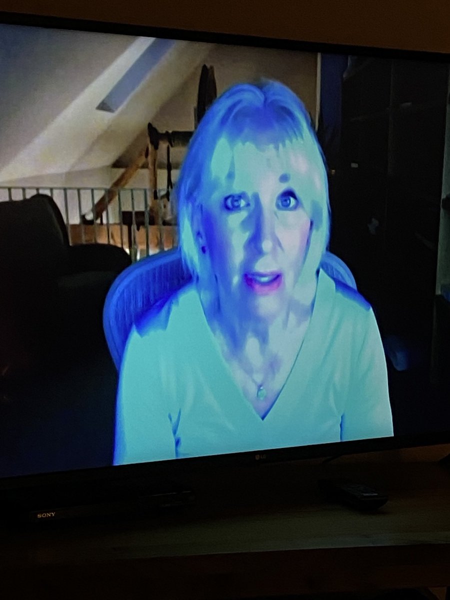 FroggySimon's tweet photo. Has Nadine Dorries got the No10 party filter on her zoom for Channel 4 News? https://t.co/aRwlSBHjBx