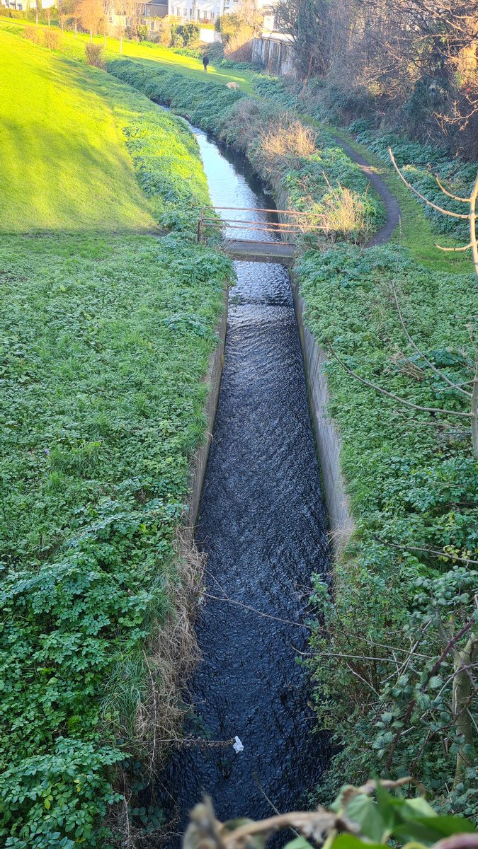 Nanchene's tweet photo. #100daysofwalking #Day13 the #RiverSlang running from Three Rock and into the Dodder. This small river is what flooded Dundrum Town Center in October 2011 https://t.co/p9H6CrOf7Y