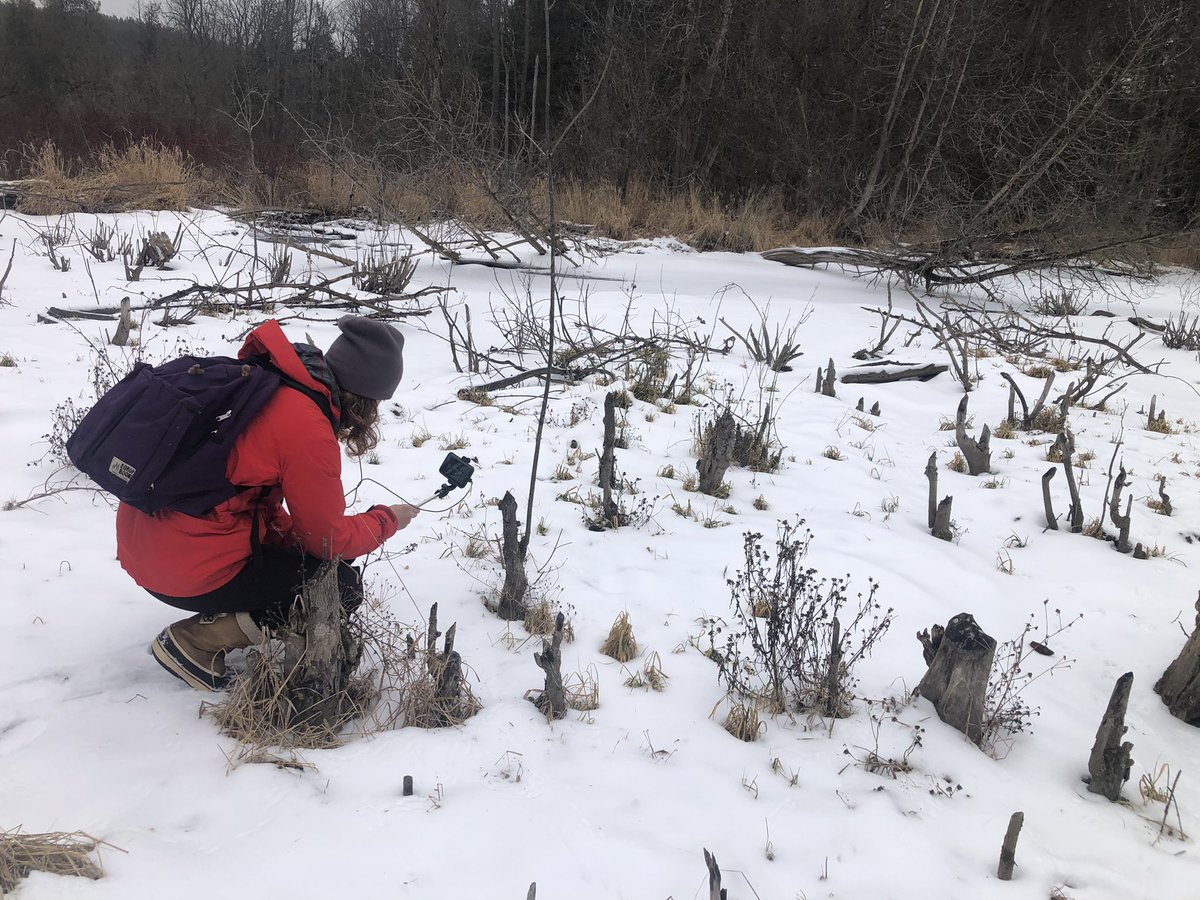 Etobicoke Outdoor Education Centre tweet media