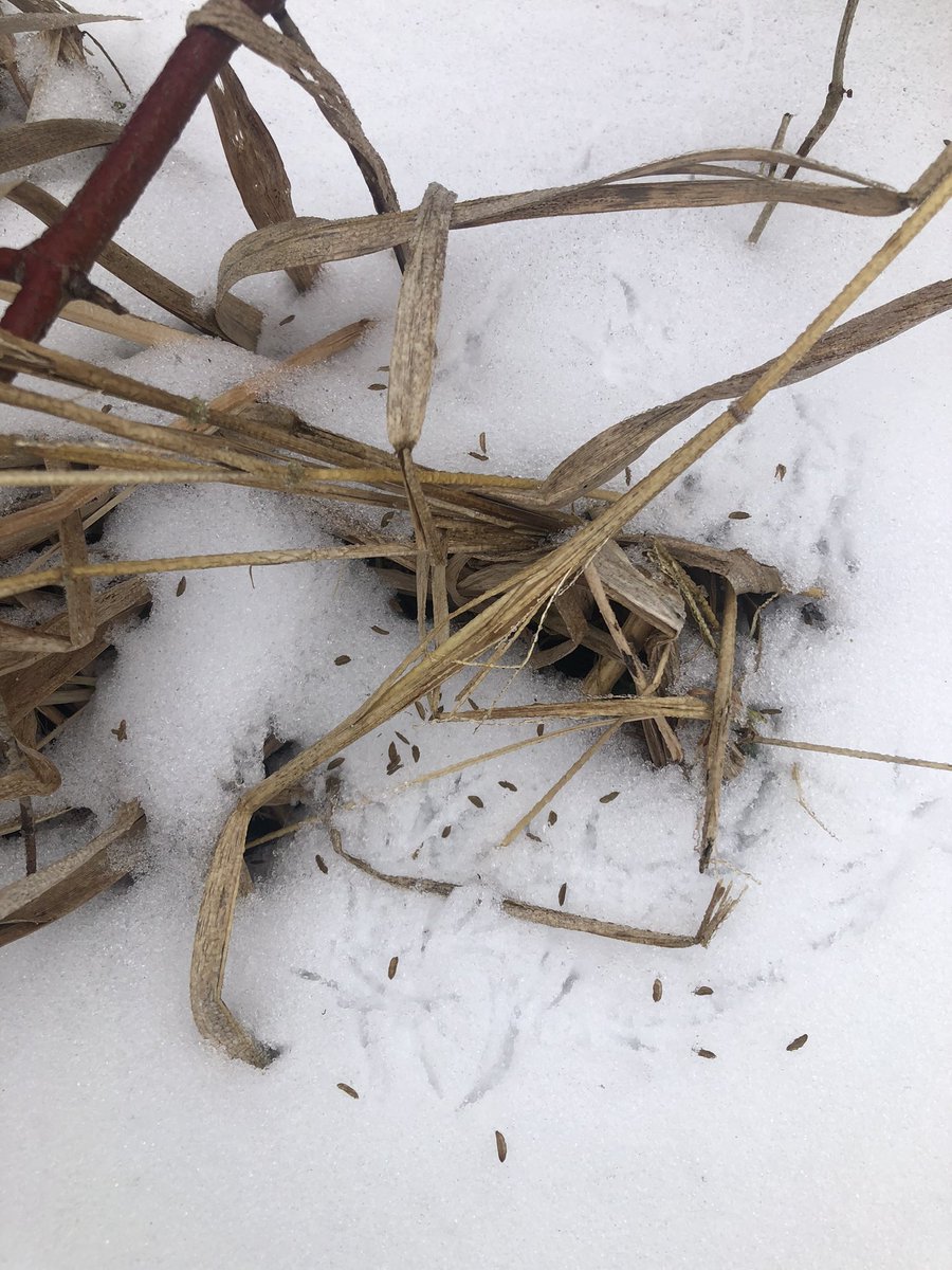 Etobicoke Outdoor Education Centre tweet media