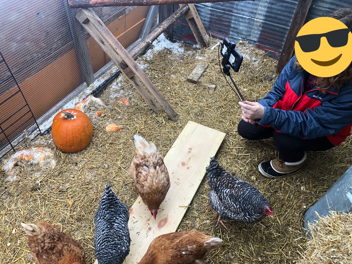 Etobicoke Outdoor Education Centre tweet media