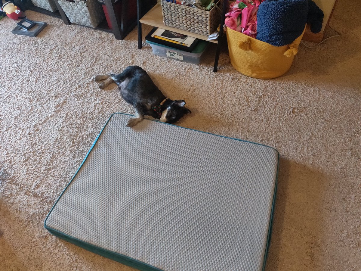 James Buschell tweet media