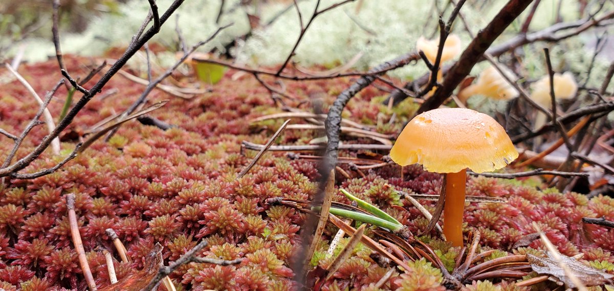 Emma Sherwood tweet media