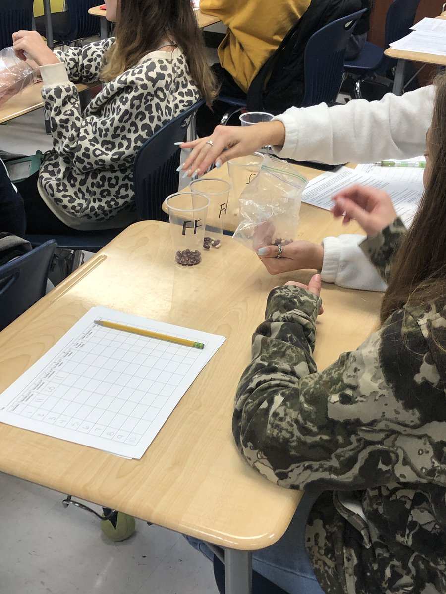 mslagleAHS's tweet photo. The best thing about block days is all the time for activities. Science activities that is! #doingscience #theAway @Humble_2ndSci @HumbleISD_AHS https://t.co/6RMPiXmtHx