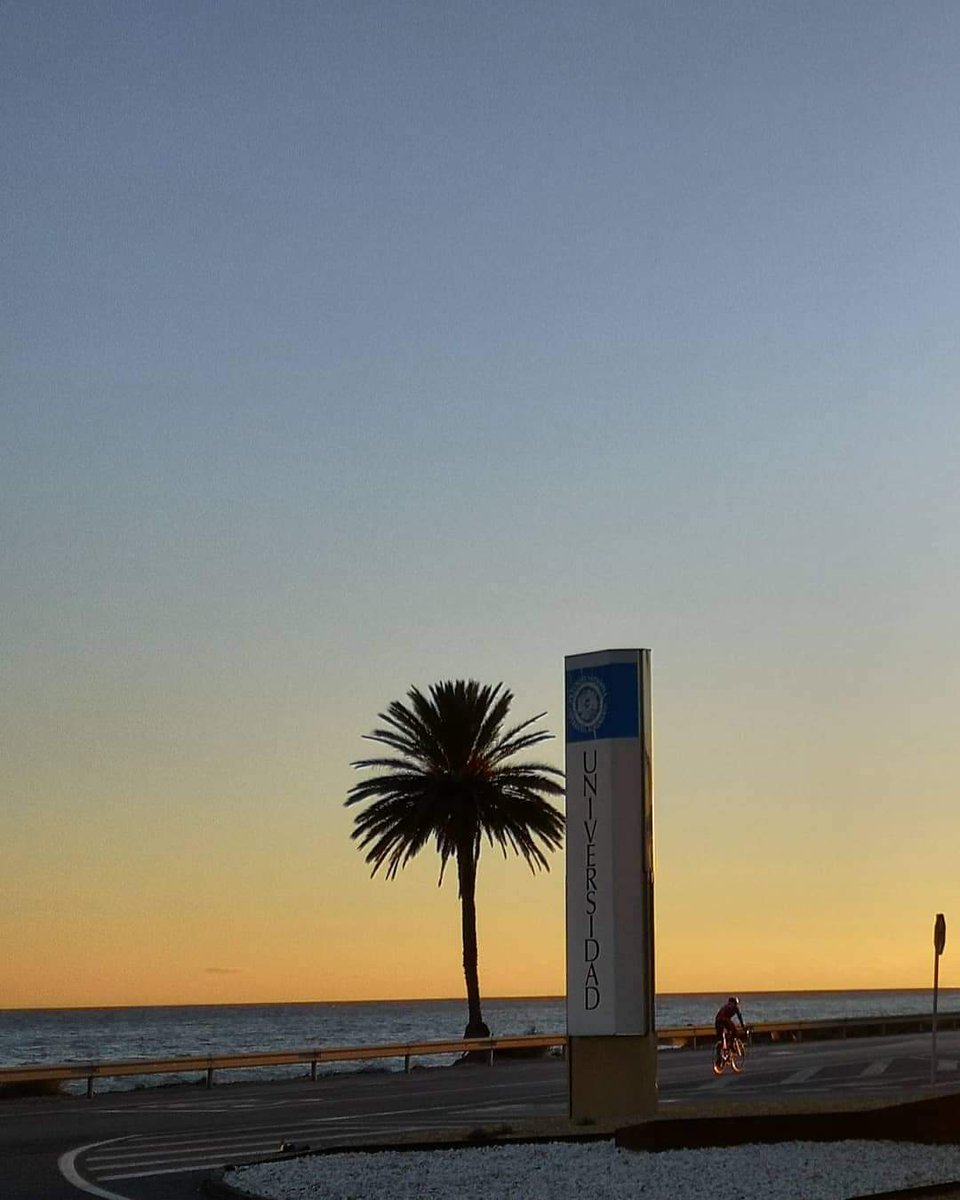 verdejomar's tweet photo. La palmera 🌴 que resiste Poniente y levantes con sus raíces en el mar
#soyUAL #Almería #campusUAL #UAL
@ualmeria https://t.co/wl6zW4jNxm